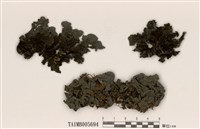 藏品(青貓耳衣)的圖片